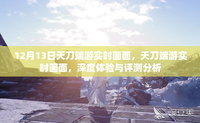 天刀端游深度体验与实时画面评测分析,12月13日独家观察
