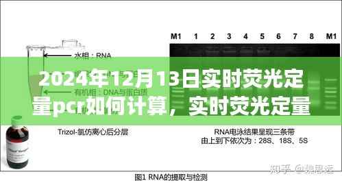 实时荧光定量PCR技术操作指南与最新计算方法解析(适用于2024年)