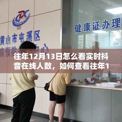 往年12月13日抖音实时在线人数查看指南,详细步骤揭秘