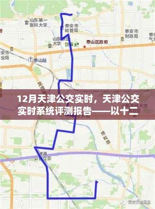 天津公交实时系统评测报告,以12月运营为例的深入剖析