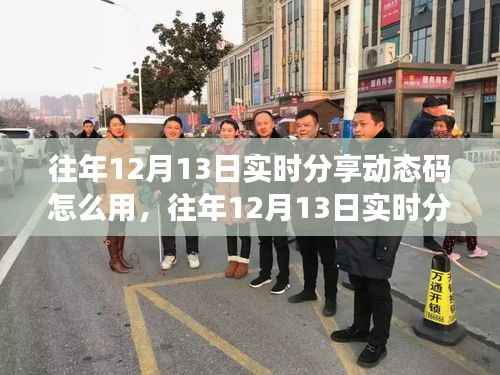 往年12月13日实时分享动态码,应用评测、特性体验、用户群体分析及使用指南