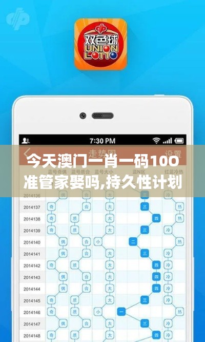 今天澳门一肖一码10O准管家娶吗,持久性计划实施_Tablet7.310