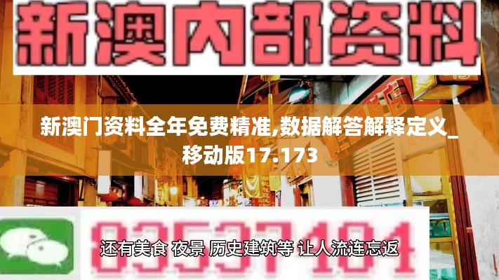 新澳门资料全年免费精准,数据解答解释定义_移动版17.173