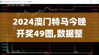 2024澳门特马今晚开奖49图,数据整合方案设计_黄金版7.428