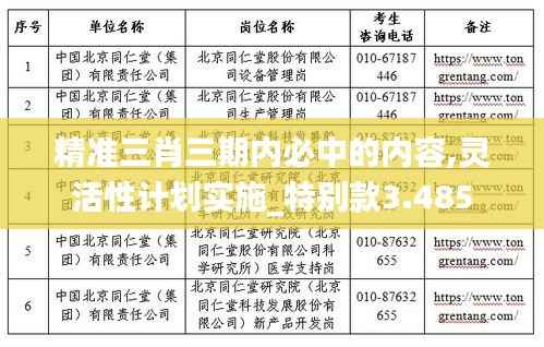精准三肖三期内必中的内容,灵活性计划实施_特别款3.485