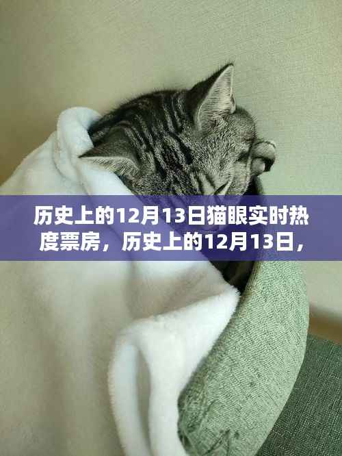 深度解析,历史上的12月13日猫眼实时热度票房数据回顾