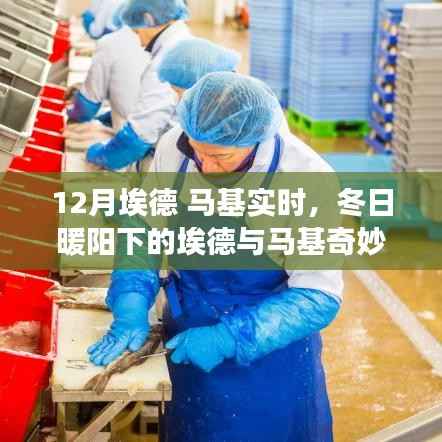 冬日暖阳下的埃德与马基,一月冒险的奇妙日常