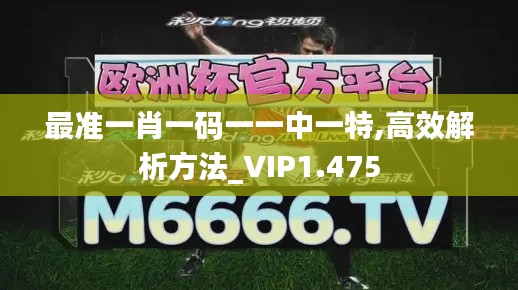 最准一肖一码一一中一特,高效解析方法_VIP1.475