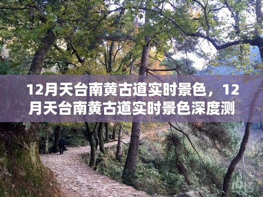 12月天台南黄古道实时景色深度解析与美丽展现