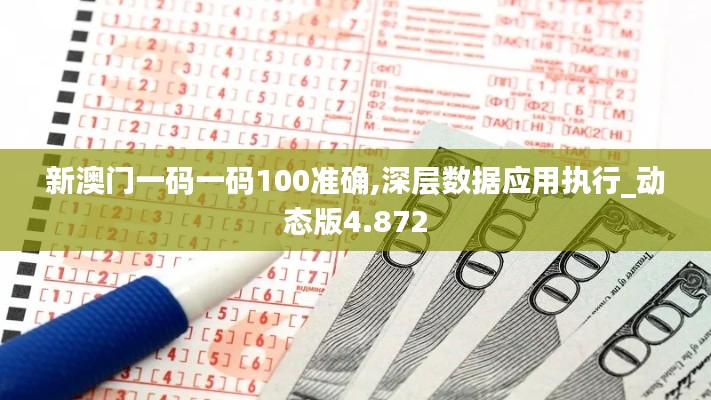 新澳门一码一码100准确,深层数据应用执行_动态版4.872