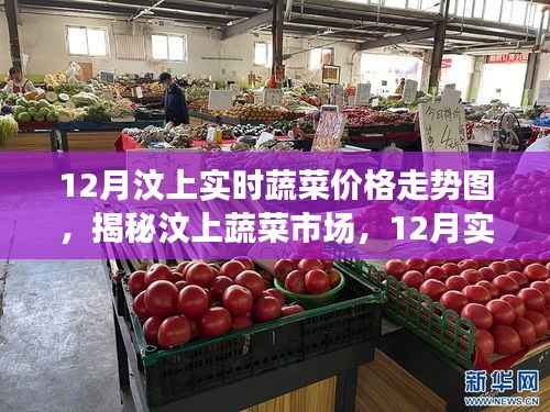 揭秘汶上蔬菜市场，12月实时蔬菜价格走势深度解析及趋势预测