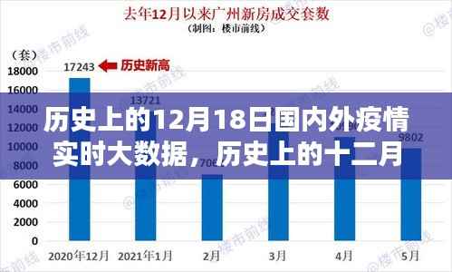 历史上的12月18日国内外疫情实时大数据回顾，疫情发展及其影响