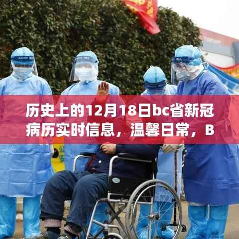 BC省历史上的十二月十八日,新冠病历下的爱与陪伴故事及实时信息回顾