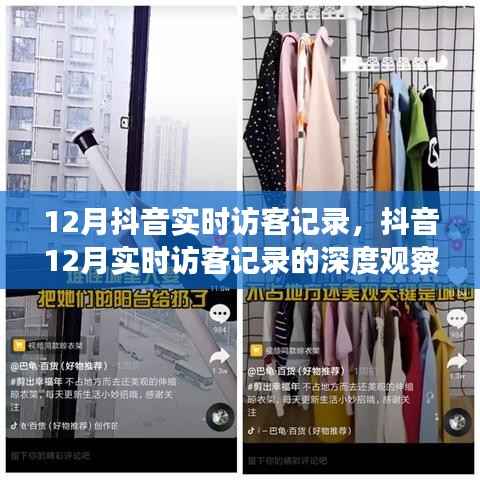 深度观察,抖音实时访客记录背后的故事与影响——以十二月为例