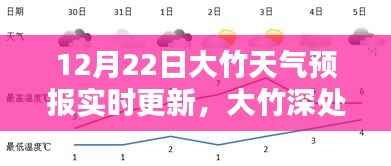 大竹天气预报实时更新，聆听自然之声，掌握天气动态