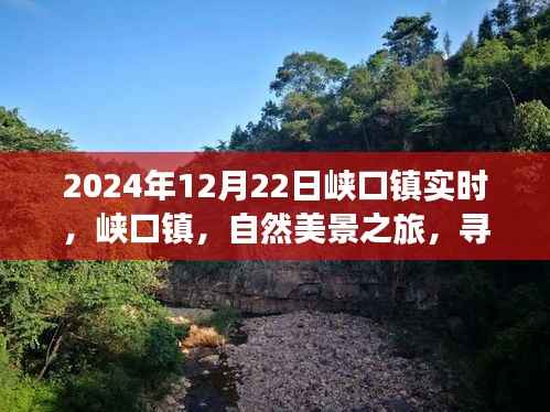 峡口镇自然美景之旅，探寻内心宁静与平和的秘境（2024年12月22日实时报道）