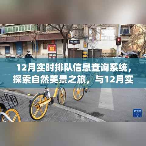 探索自然美景之旅，与实时排队信息查询系统共赴心灵宁静之旅