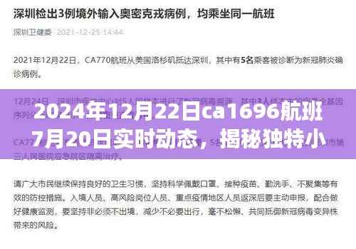 揭秘独特小巷宝藏与航班ca1696的奇妙邂逅,实时动态追踪报道