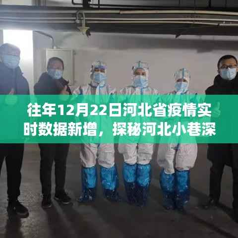 河北抗疫特色小店,疫情之下的暖心故事与实时数据新增探秘