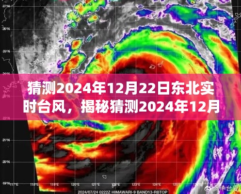 揭秘东北未来台风,关于东北实时台风特性、体验、竞品对比及用户群体分析预测报告(2024年12月22日)