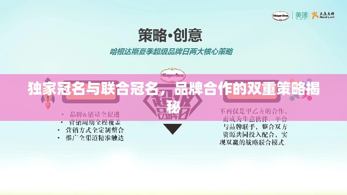 独家冠名与联合冠名,品牌合作的双重策略揭秘