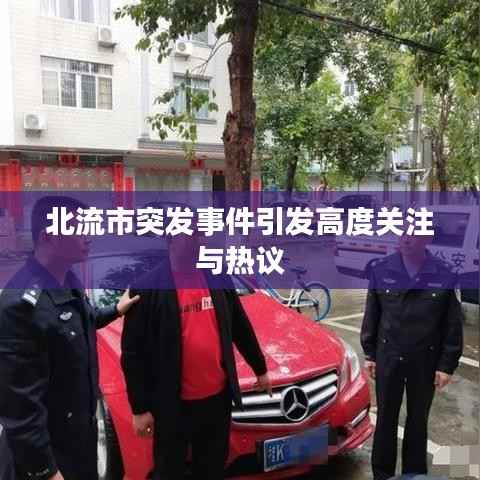 北流市突发事件引发高度关注与热议