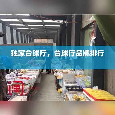 独家台球厅,台球厅品牌排行