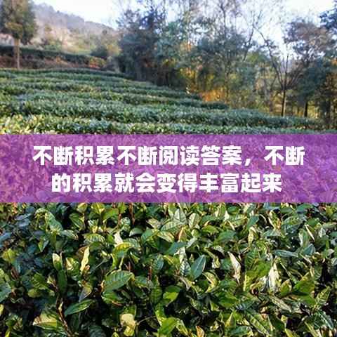 不断积累不断阅读答案,不断的积累就会变得丰富起来