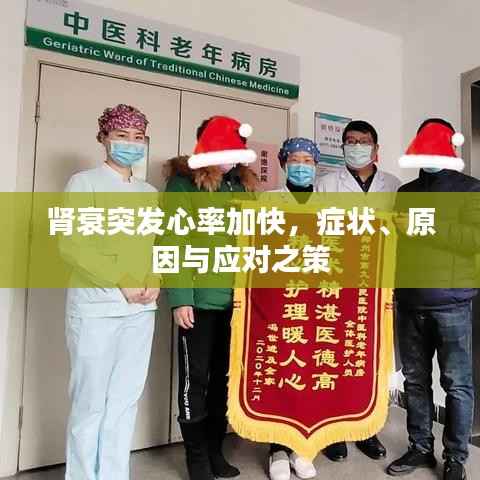 肾衰突发心率加快,症状、原因与应对之策