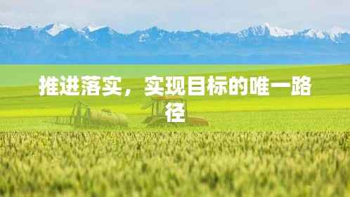 推进落实,实现目标的唯一路径