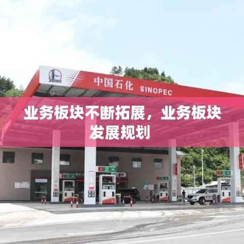 业务板块不断拓展，业务板块发展规划 