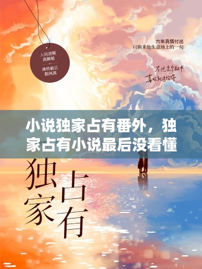 小说独家占有番外,独家占有小说最后没看懂