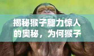 揭秘猴子腿力惊人的奥秘,为何猴子腿能拧不断?