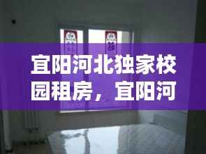 宜阳河北独家校园租房,宜阳河北房价