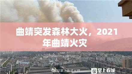 曲靖突发森林大火,2021年曲靖火灾