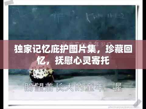 独家记忆庇护图片集,珍藏回忆,抚慰心灵寄托