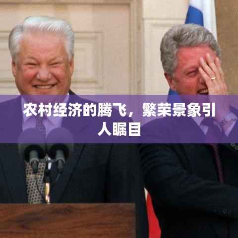 农村经济的腾飞,繁荣景象引人瞩目