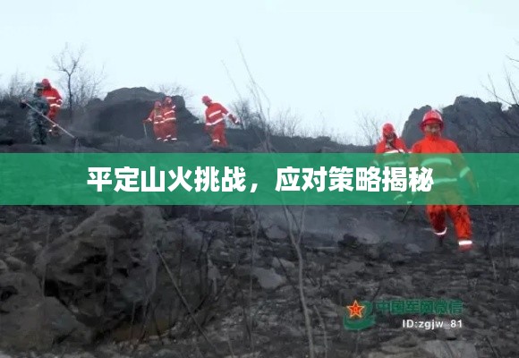 平定山火挑战,应对策略揭秘