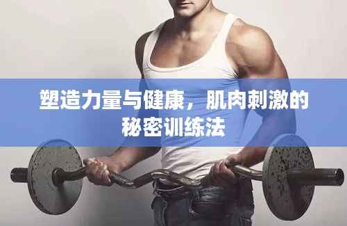 塑造力量与健康,肌肉刺激的秘密训练法