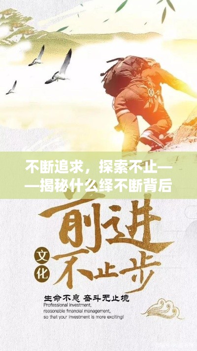 不断追求,探索不止——揭秘什么绎不断背后的进步力量