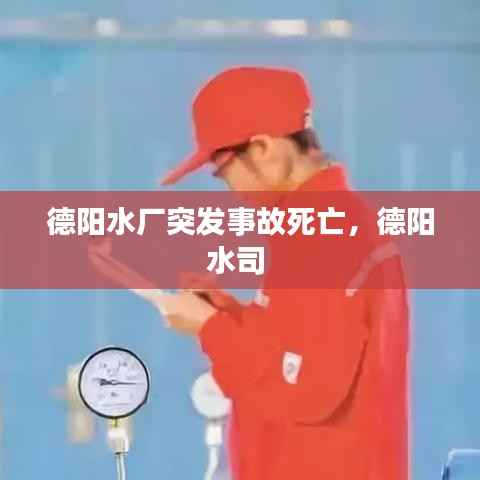 德阳水厂突发事故死亡,德阳水司