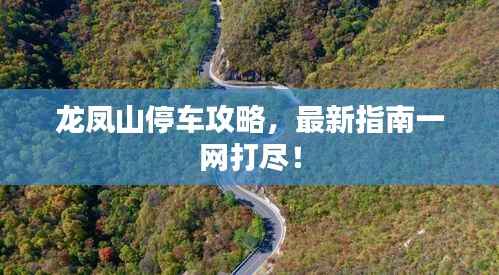 龙凤山停车攻略,最新指南一网打尽!