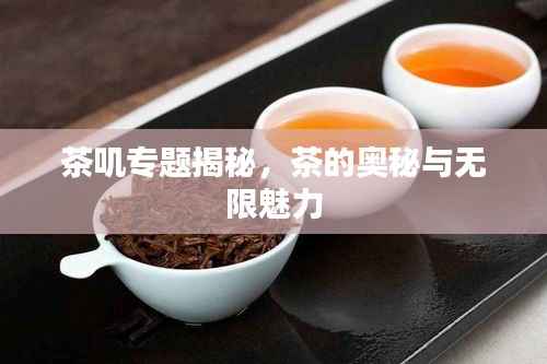 茶叽专题揭秘,茶的奥秘与无限魅力