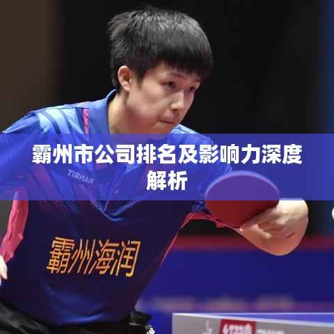 霸州市公司排名及影响力深度解析