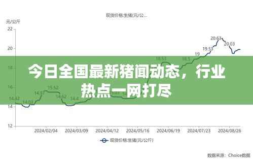 今日全国最新猪闻动态,行业热点一网打尽