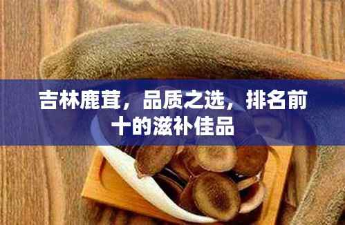 吉林鹿茸,品质之选,排名前十的滋补佳品