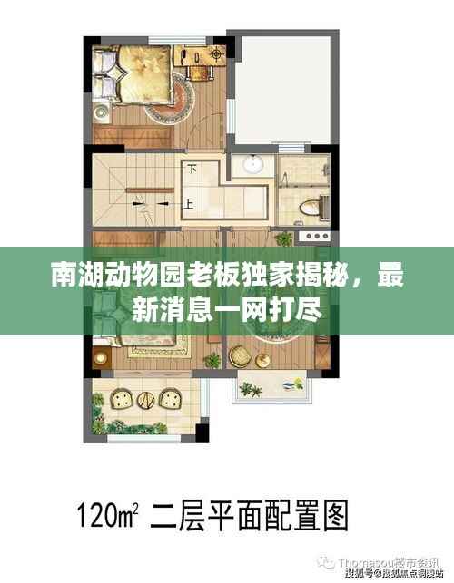 南湖动物园老板独家揭秘,最新消息一网打尽