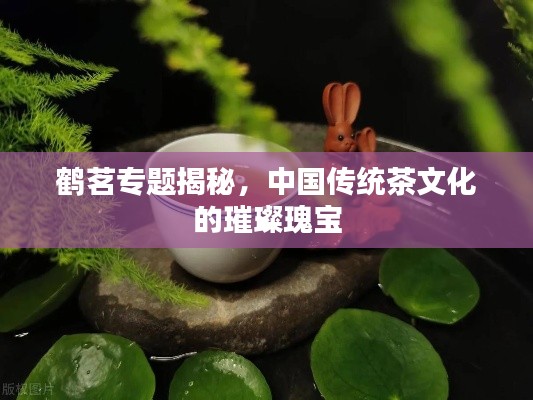 鹤茗专题揭秘,中国传统茶文化的璀璨瑰宝