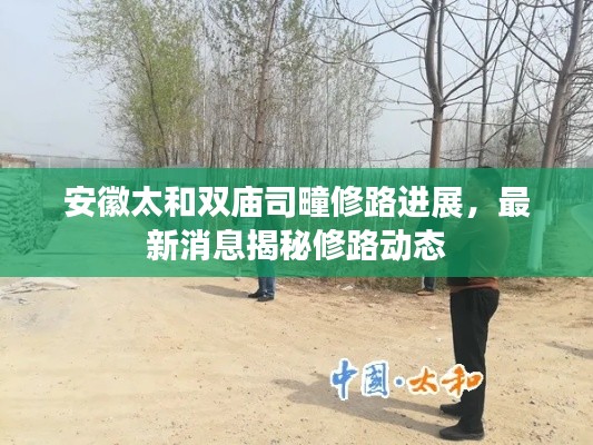 安徽太和双庙司疃修路进展,最新消息揭秘修路动态