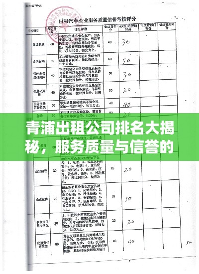 青浦出租公司排名大揭秘,服务质量与信誉的综合评价报告